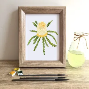 Showy Banksia Art Print